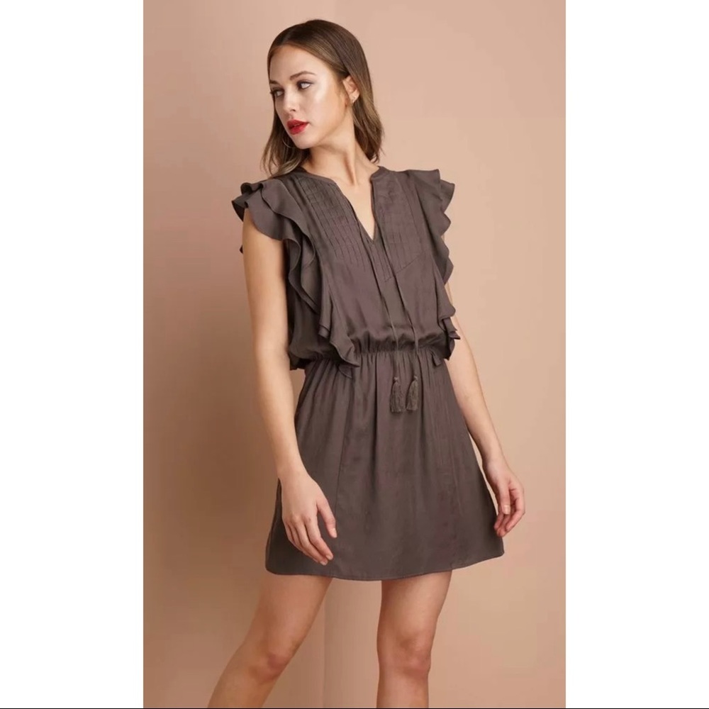 Trina Ruffled Dress Greylin Collection NWT